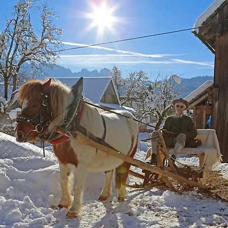 Schwadenguetl Βίλα Gosau Εξωτερικό φωτογραφία